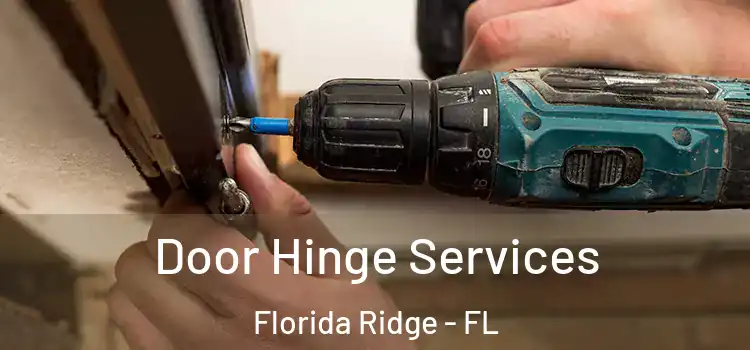 Door Hinge Services Florida Ridge - FL