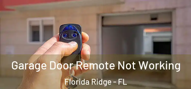  Garage Door Remote Not Working Florida Ridge - FL