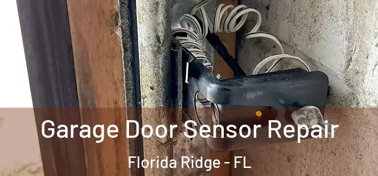 Garage Door Sensor Repair Florida Ridge - FL