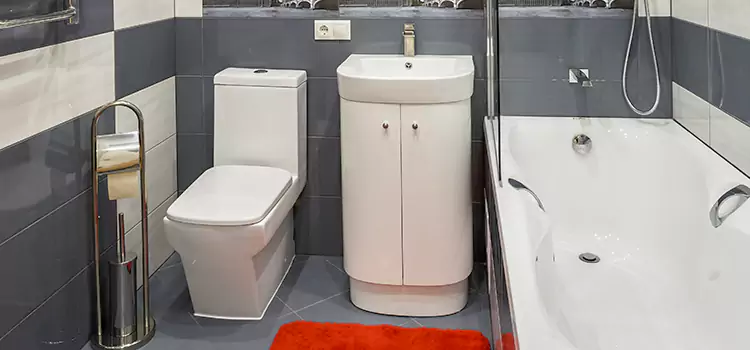 Hansgrohe Shaving Mirror Florida Ridge