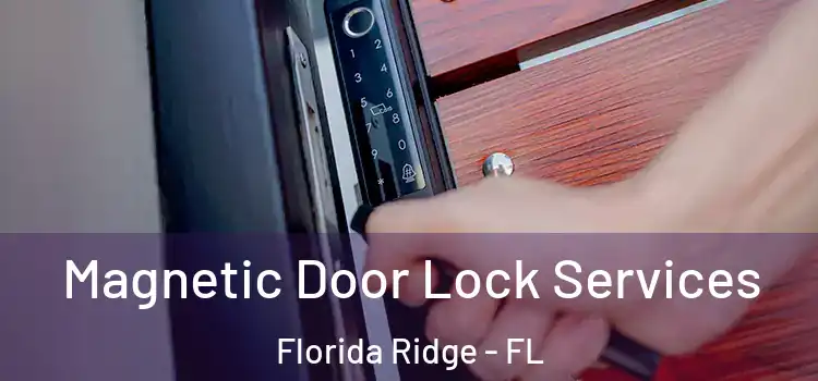 Magnetic Door Lock Services Florida Ridge - FL